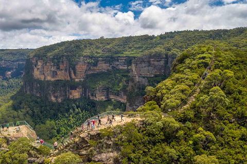 Stray Australia: Blue Mountains - Day Tour - Northern Rivers Accommodation 0