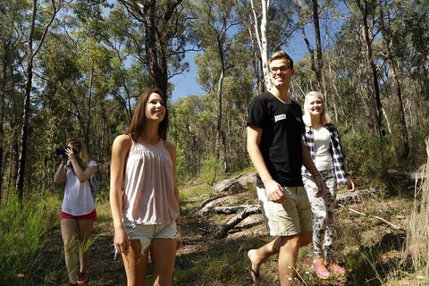 Stray Australia: Blue Mountains - Day Tour - Northern Rivers Accommodation 1