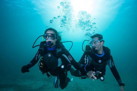 Try Scuba Diving Experience: Sydney - Northern Rivers Accommodation 1
