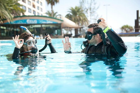 Try Scuba Diving Experience: Sydney - Northern Rivers Accommodation 2