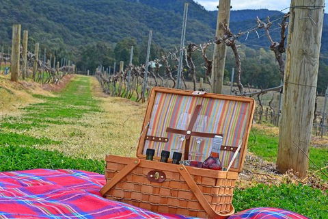 Private Hunter Valley And Gardens Day Trip From Sydney - Northern Rivers Accommodation 0