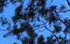 Private Blue Mountains Day Trip By 4WD From Sydney Or The Blue Mountains - thumb 3