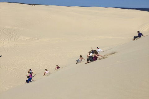 Port Stephens Bush, Beach And Sand Dune 4WD Passenger Tour - Northern Rivers Accommodation 2