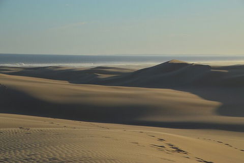 Port Stephens Bush, Beach And Sand Dune 4WD Passenger Tour - Northern Rivers Accommodation 6
