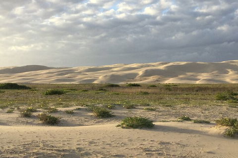 Port Stephens Bush, Beach And Sand Dune 4WD Passenger Tour - Northern Rivers Accommodation 3