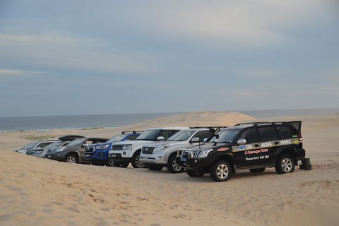 Port Stephens Bush, Beach And Sand Dune 4WD Passenger Tour - Northern Rivers Accommodation 7