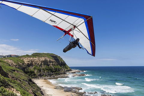 Newcastle And Central Coast Private Shore Excursion | Departs Newcastle Port - Northern Rivers Accommodation 5