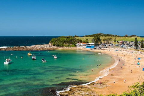 Newcastle And Central Coast Private Shore Excursion | Departs Newcastle Port - Northern Rivers Accommodation 8