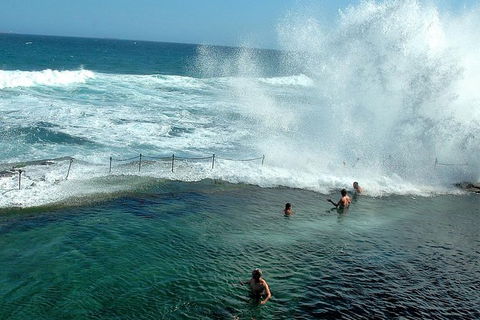 Newcastle And Central Coast Private Shore Excursion | Departs Newcastle Port - Northern Rivers Accommodation 9