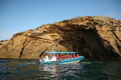 Hunter Coastal Adventure Tour By Boat From Newcastle - Northern Rivers Accommodation 0