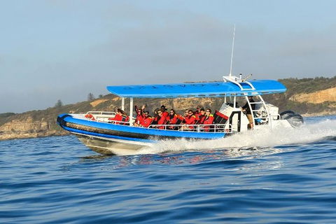 Hunter Coastal Adventure Tour By Boat From Newcastle - Northern Rivers Accommodation 3