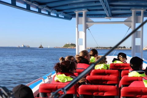Hunter Coastal Adventure Tour By Boat From Newcastle - Northern Rivers Accommodation 4