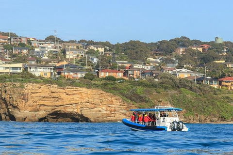 Hunter Coastal Adventure Tour By Boat From Newcastle - Northern Rivers Accommodation 5