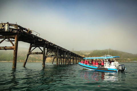 Hunter Coastal Adventure Tour By Boat From Newcastle - Northern Rivers Accommodation 6