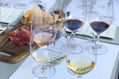 Urban Winery Sydney: Winery Tour And Tasting - Northern Rivers Accommodation 2