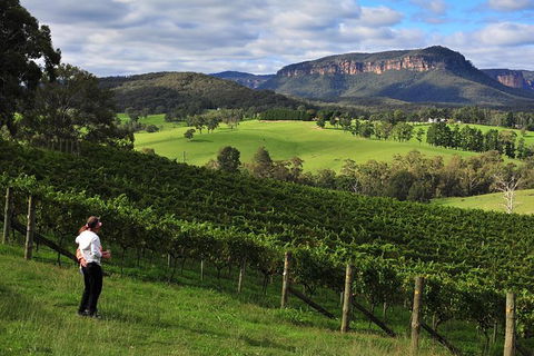 Private Blue Mountains And Winery Day-Trip From Sydney - Northern Rivers Accommodation 5