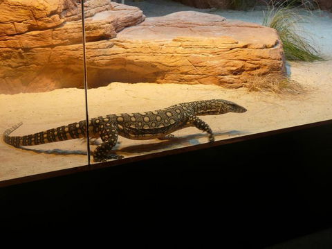 WILD LIFE Sydney Entrance Ticket - Northern Rivers Accommodation 17