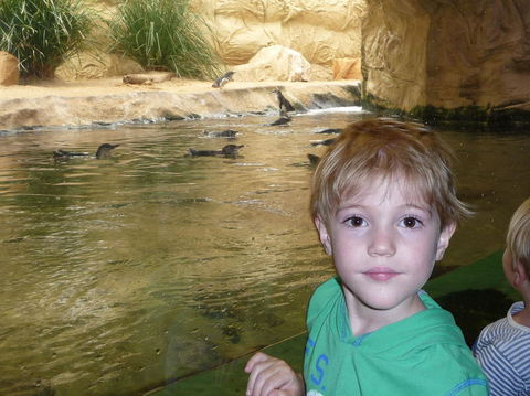 WILD LIFE Sydney Entrance Ticket - Northern Rivers Accommodation 5
