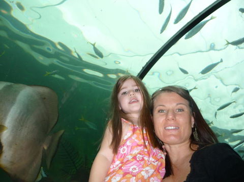 WILD LIFE Sydney Entrance Ticket - Northern Rivers Accommodation 4