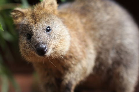 WILD LIFE Sydney Entrance Ticket - Northern Rivers Accommodation 23