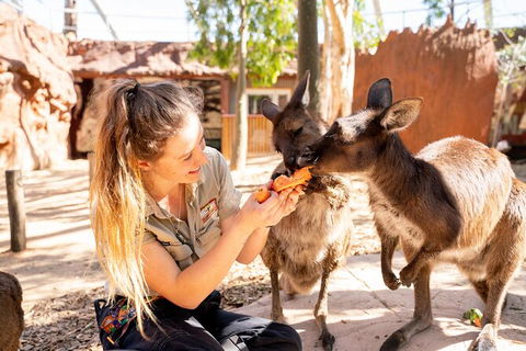 WILD LIFE Sydney Entrance Ticket - Northern Rivers Accommodation 18