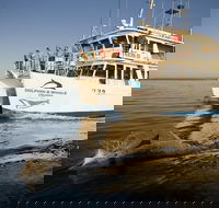 Jervis Bay Dolphin Watch Cruise - Northern Rivers Accommodation