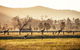 Private Luxury Hunter Valley Day Tour From Sydney - thumb 3