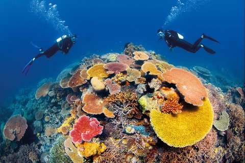 Agincourt Reef - Northern Rivers Accommodation 0