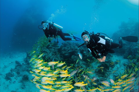 Agincourt Reef - Northern Rivers Accommodation 2