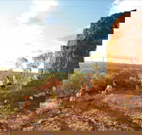 Baldy Top Lookout - Northern Rivers Accommodation