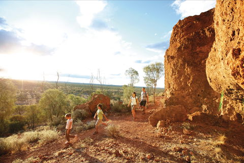 Baldy Top Lookout - Northern Rivers Accommodation 0