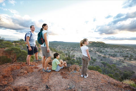 Baldy Top Lookout - Northern Rivers Accommodation 1