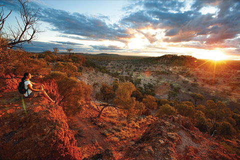 Baldy Top Lookout - Northern Rivers Accommodation 2