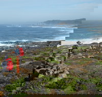 Bibbulmun Track - Northern Rivers Accommodation