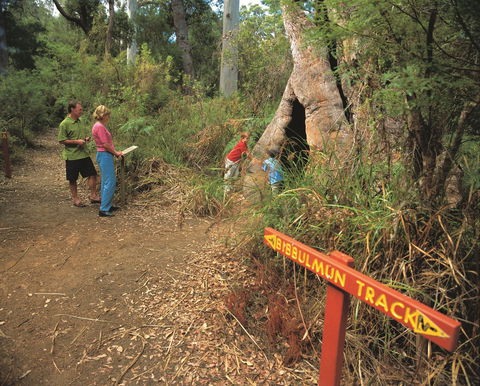 Bibbulmun Track - Northern Rivers Accommodation 1