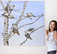 Bingara Gallery - Northern Rivers Accommodation