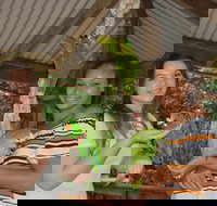 Birdworld Kuranda - Northern Rivers Accommodation