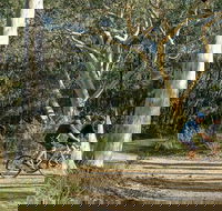 Bundanoon cycling route - Northern Rivers Accommodation