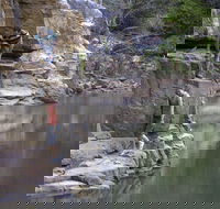 Butterfly Gorge Nature Park - Northern Rivers Accommodation