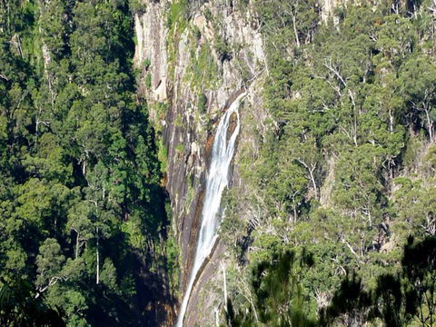 Carrai National Park - Northern Rivers Accommodation 0