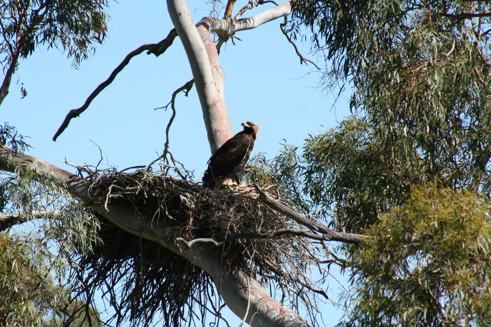 Leneva VIC Northern Rivers Accommodation