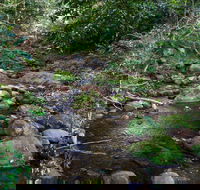 Cascades picnic area - Northern Rivers Accommodation