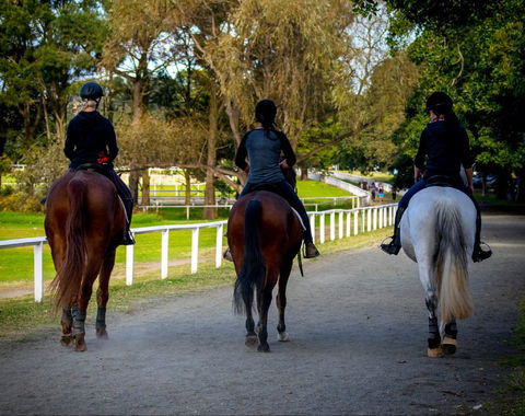 Centennial Stables - Northern Rivers Accommodation 0