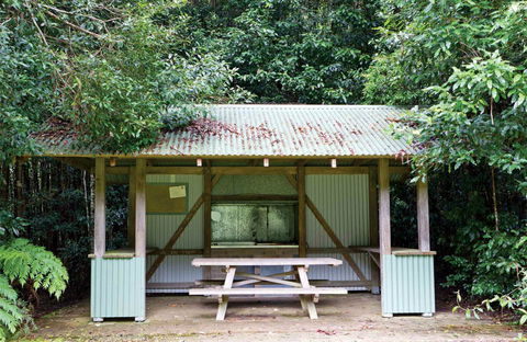 Coachwood Picnic Area - Northern Rivers Accommodation 0