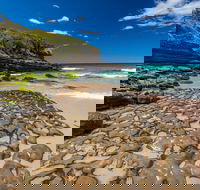 Dawsons Island Beach - Northern Rivers Accommodation