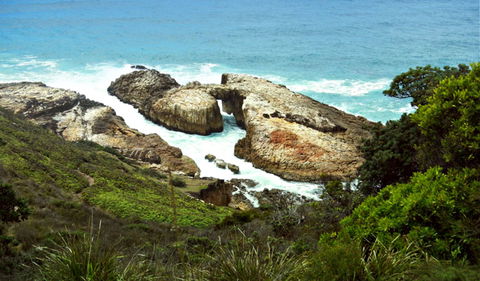 Diamond Head Loop Walk - Northern Rivers Accommodation 0