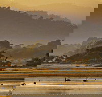 Greens Beach - Northern Rivers Accommodation