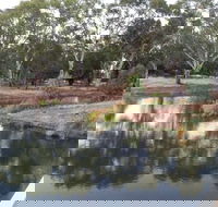 Green Corridor Walking Track - Northern Rivers Accommodation