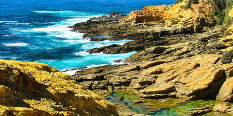 Gumnut Hideaway Gallery - Northern Rivers Accommodation 2