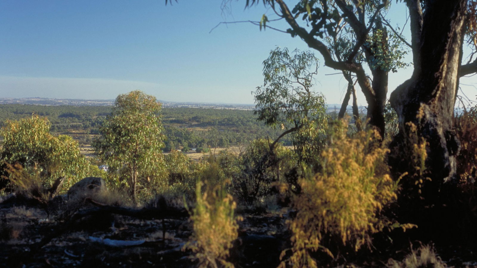 Dunluce VIC Northern Rivers Accommodation